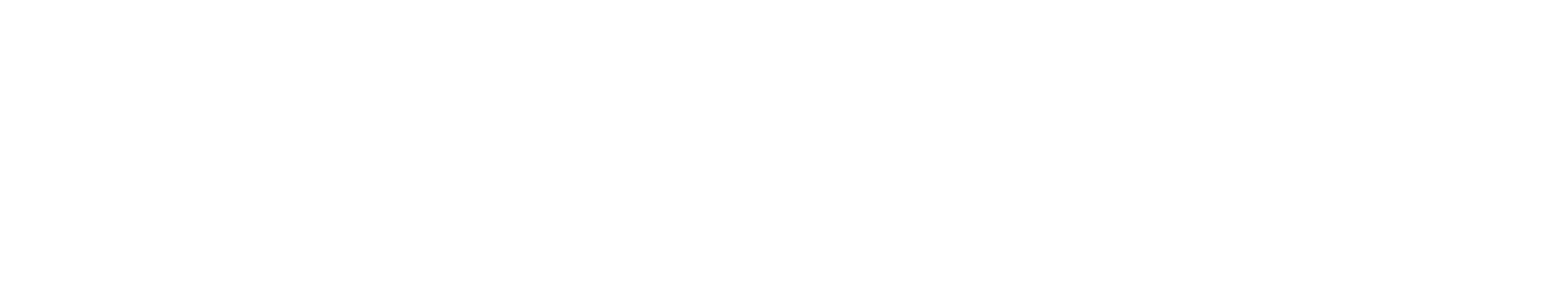NinjaFlow